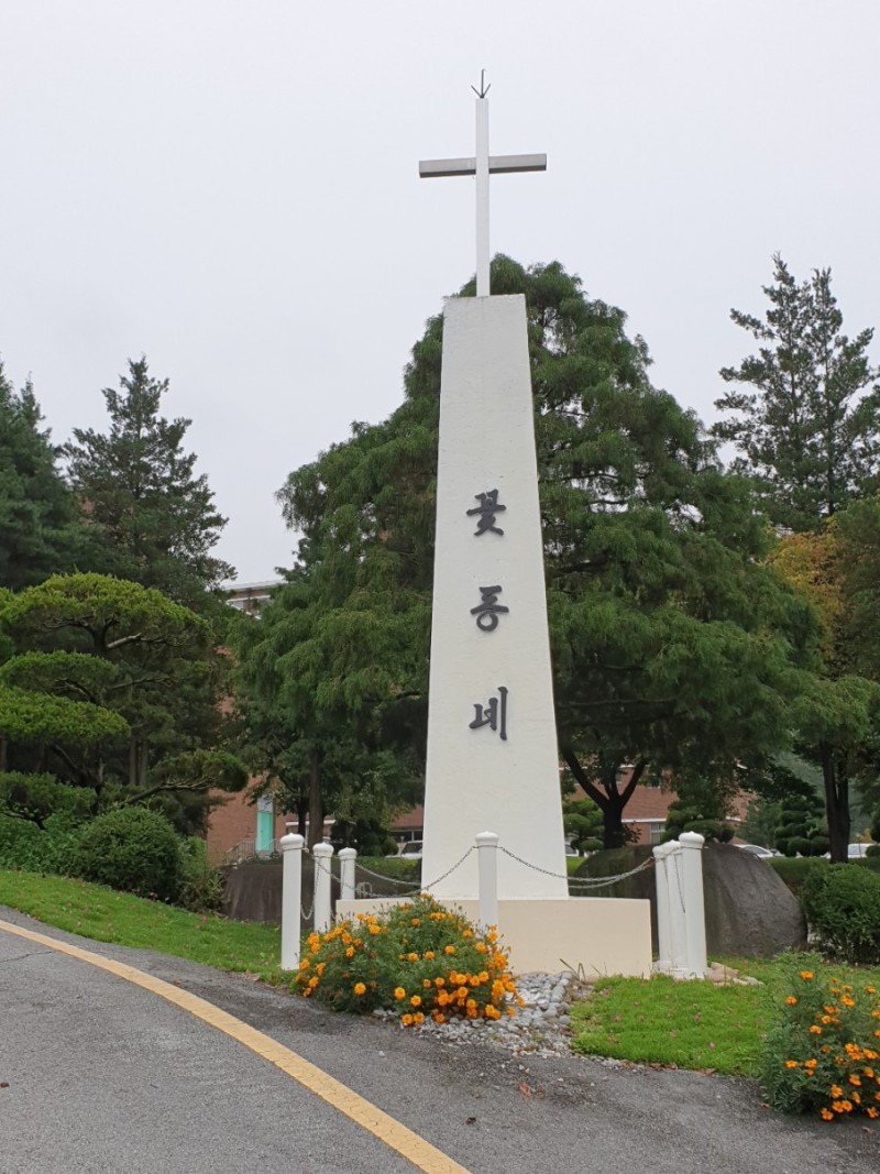 1948697120_HSMf0O4v_62319eaf594b77967c4a062e067706ae26b2aae9.jpg 이미지크게보기