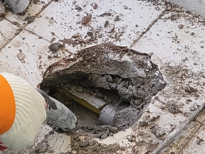 /user/b/bugyeong/editor/2212/a812398bd98528a48f805a6766e78b4c_1672120146_7583.jpg 이미지크게보기