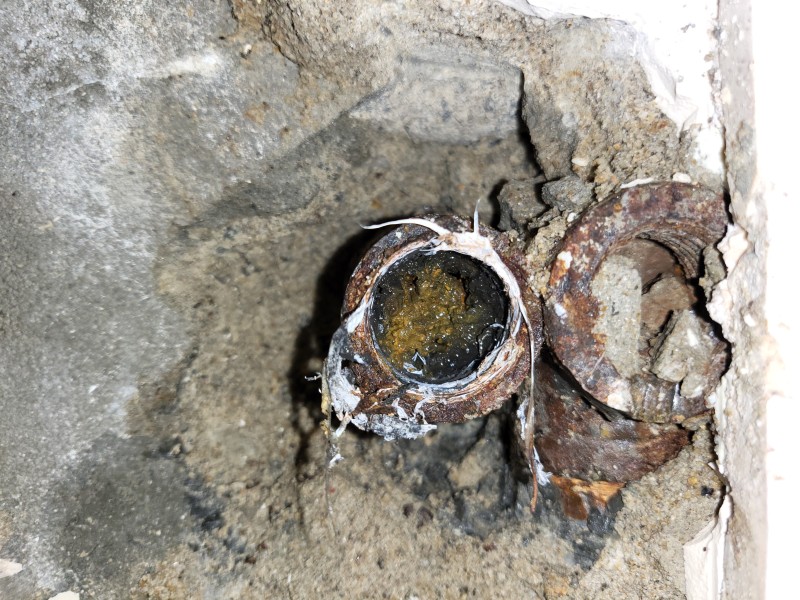 /user/b/bugyeong/editor/2212/a812398bd98528a48f805a6766e78b4c_1672121312_9267.jpg 이미지크게보기