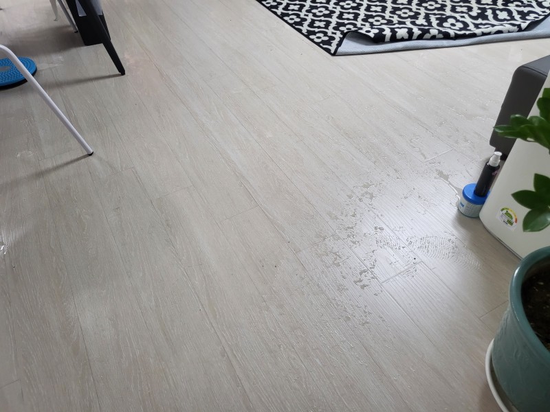 /user/b/bugyeong/editor/2212/be03b1dc8048019ee4b1f93b37c63f10_1671548046_8768.jpg 이미지크게보기