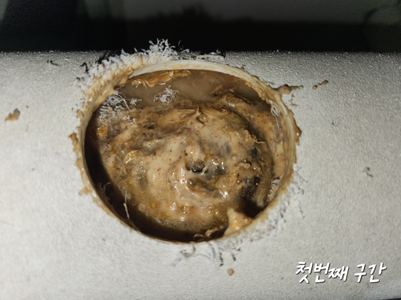 /user/b/bugyeong/editor/2212/be03b1dc8048019ee4b1f93b37c63f10_1671553373_4076.jpg 이미지크게보기